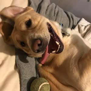 Meet your Posher, Anna